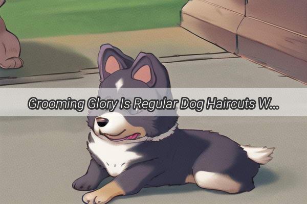 Grooming Glory Is Regular Dog Haircuts Worth the Cozy Trim